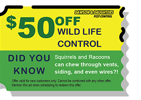 $50 off Wild life control